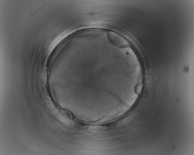 X0000114411077200911271520