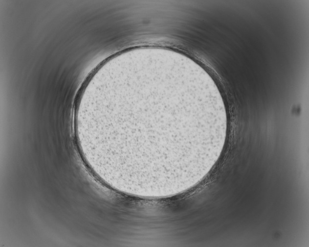 X0000114411079200911271520