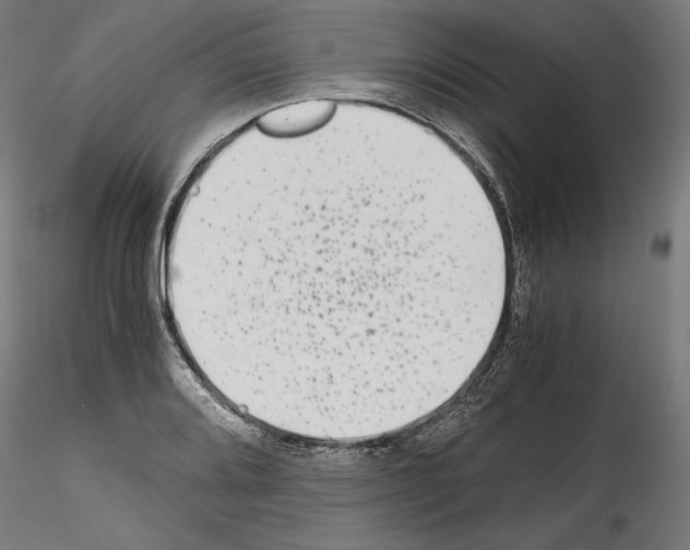 X0000114411080200911271520