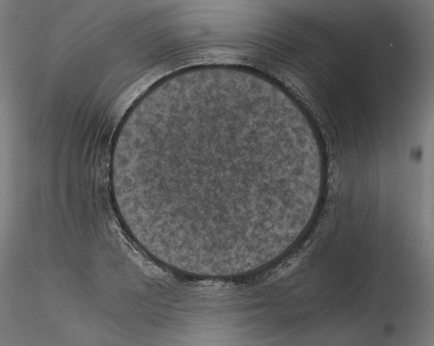 X0000114411081200911271520