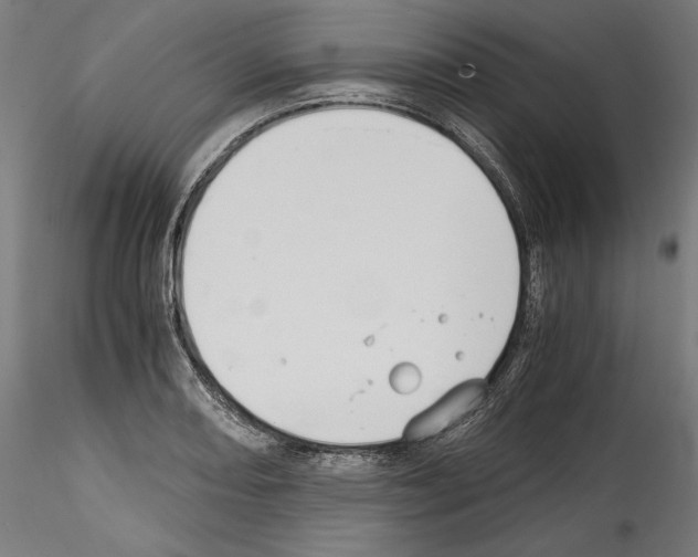 X0000114411082200911271520