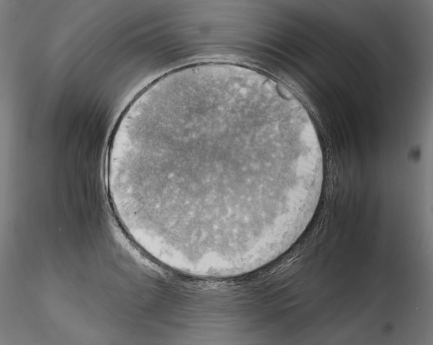 X0000114411084200911271520