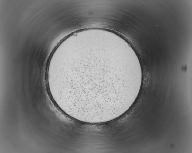 X0000114411086200911271520