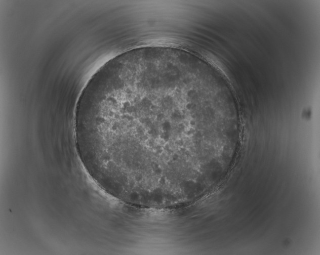 X0000114411087200911271520