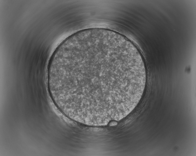 X0000114411088200911271520