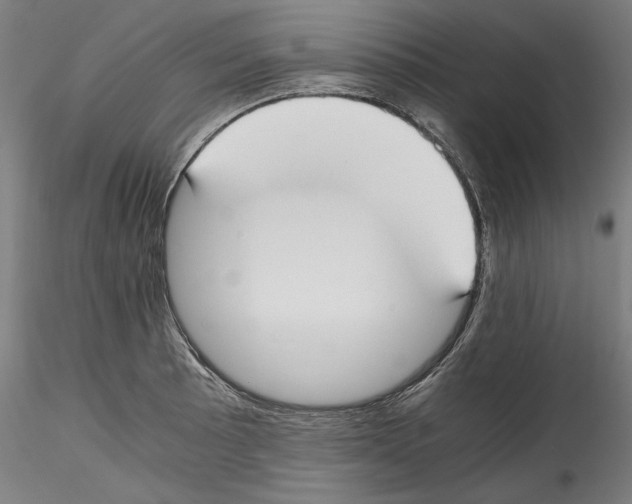 X0000114411089200911271520