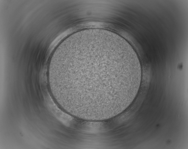 X0000114411090200911271520