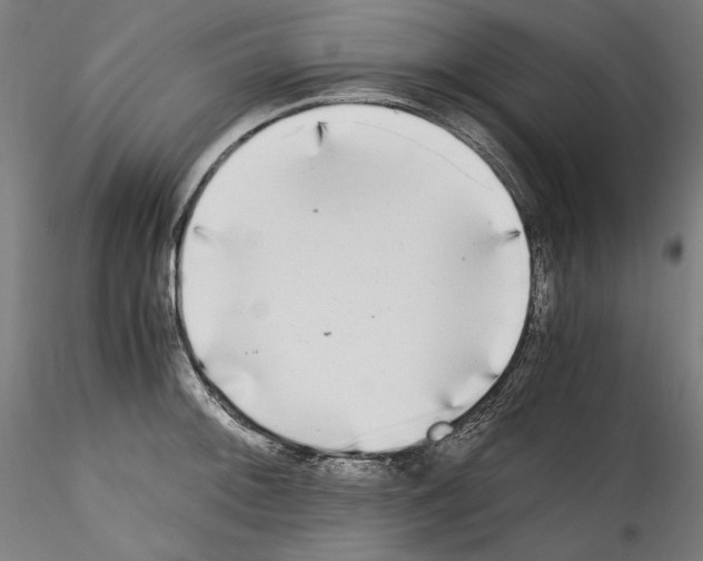 X0000114411092200911271520