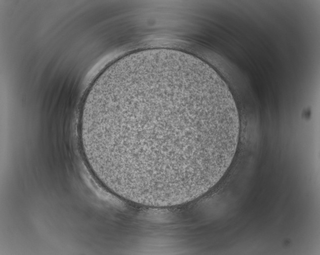 X0000114411094200911271520