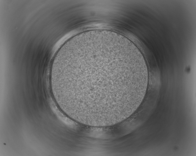 X0000114411098200911271520