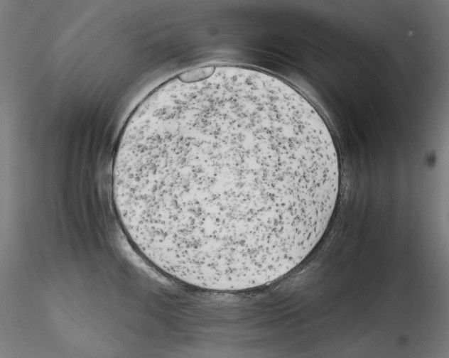 X0000114411100200911271520