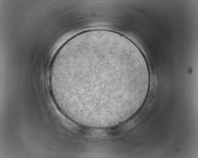 X0000114411101200911271520