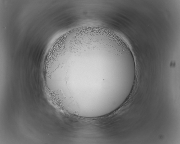 X0000114411104200911271520