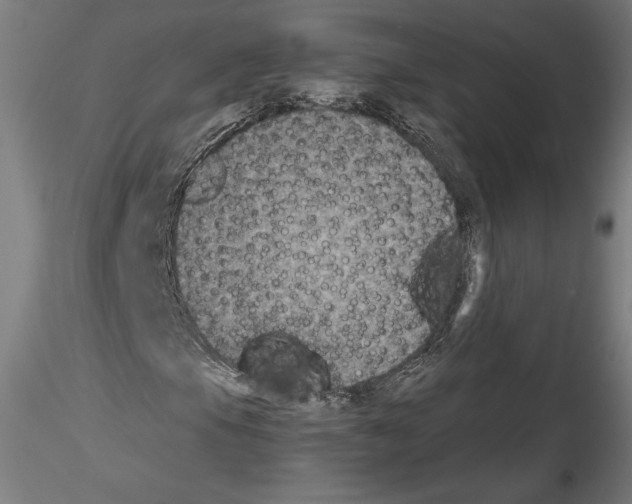 X0000114411105200911271519