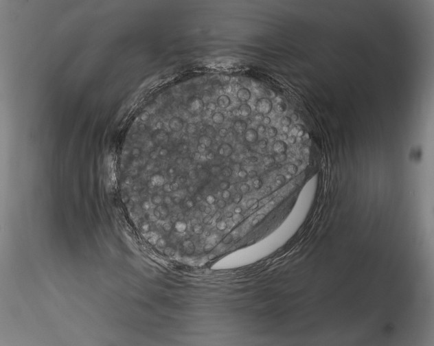 X0000114411106200911271519