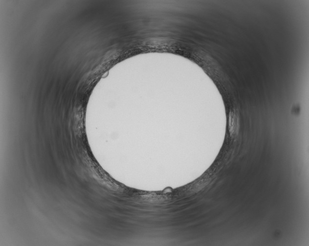 X0000114411107200911271519