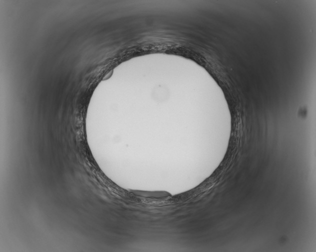 X0000114411109200911271519