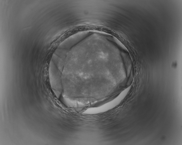 X0000114411110200911271519