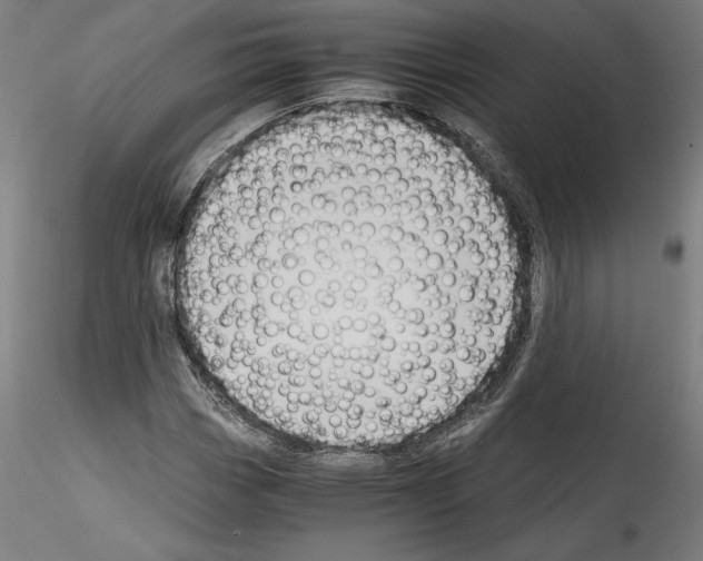 X0000114411113200911271519