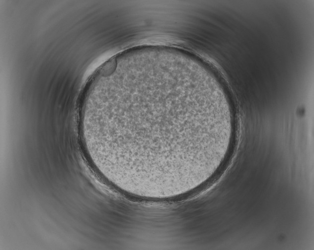 X0000114411114200911271519