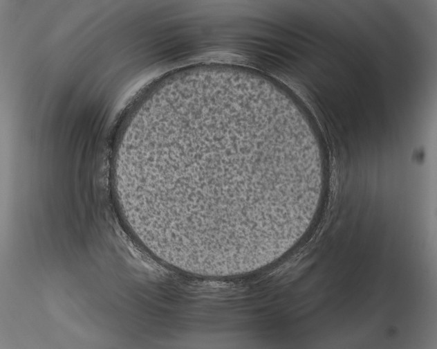 X0000114411115200911271519