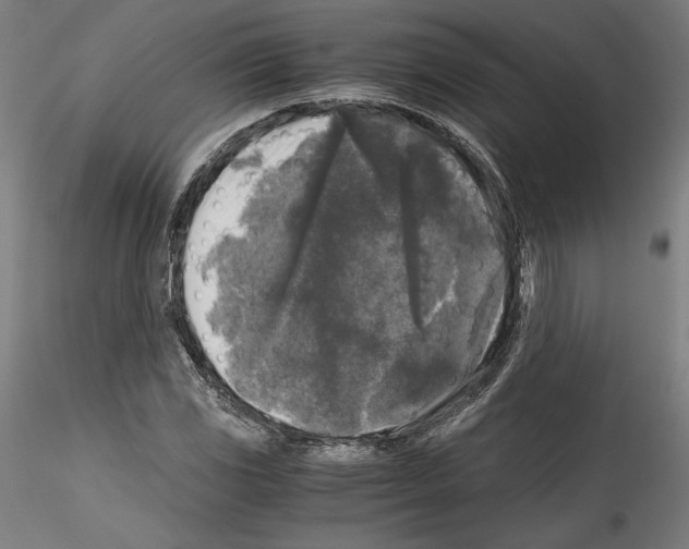 X0000114411117200911271519