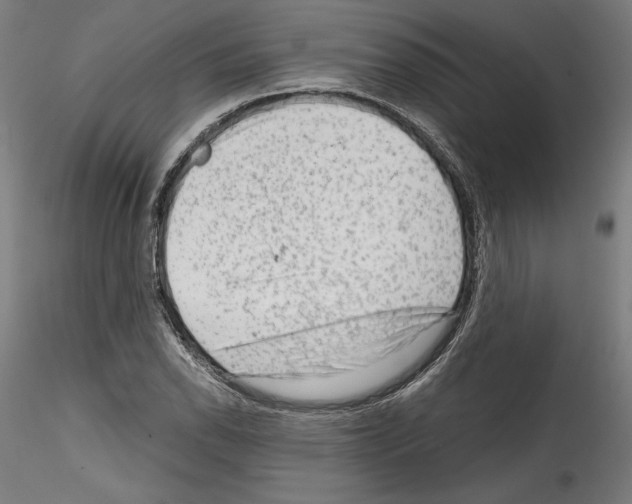 X0000114411118200911271519