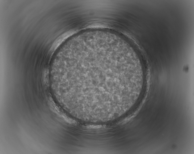 X0000114411121200911271519