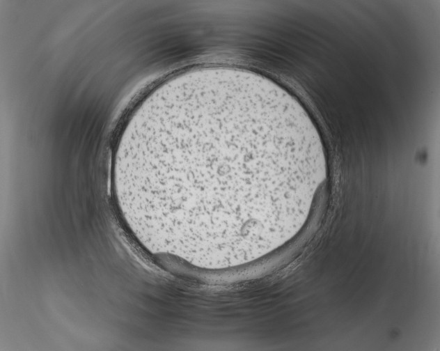 X0000114411123200911271519