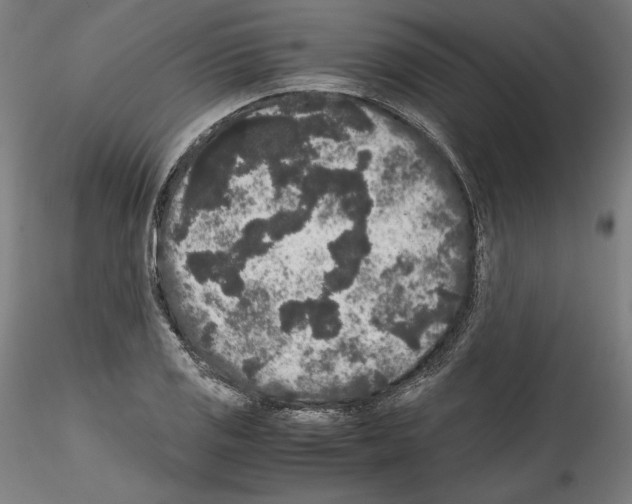 X0000114411125200911271519