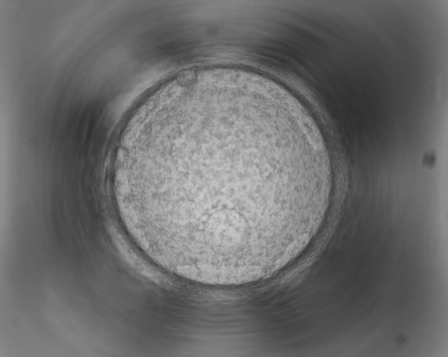 X0000114411126200911271519