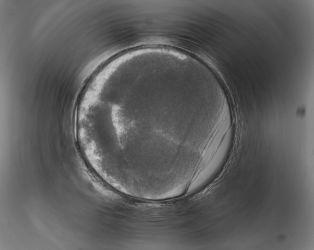 X0000114411127200911271519