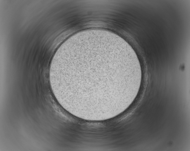 X0000114411129200911271520