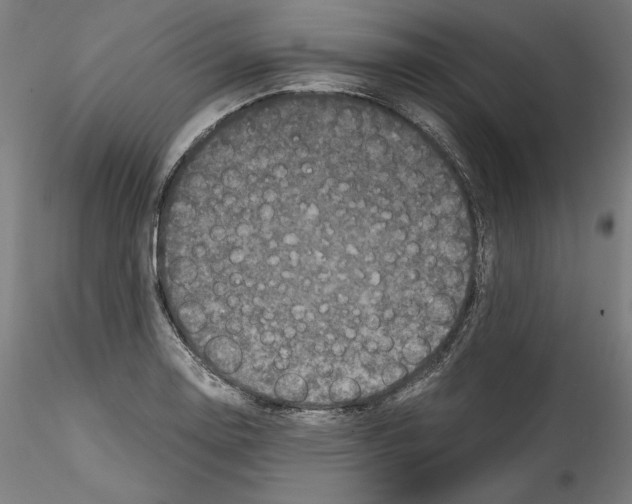 X0000114411130200911271520