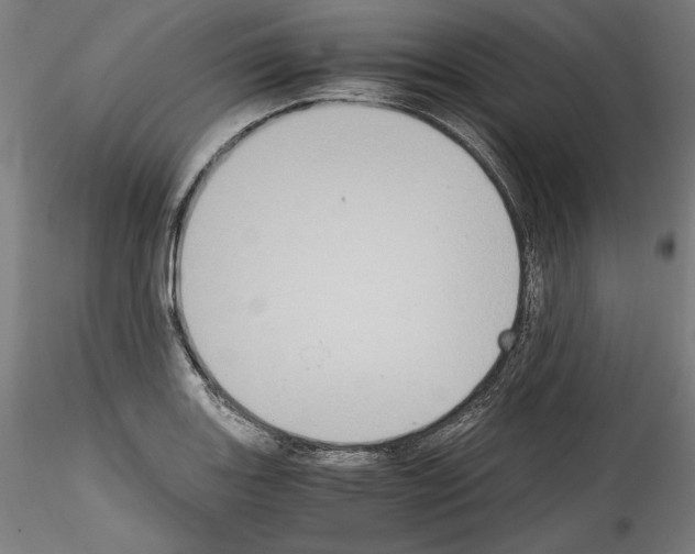 X0000114411131200911271520