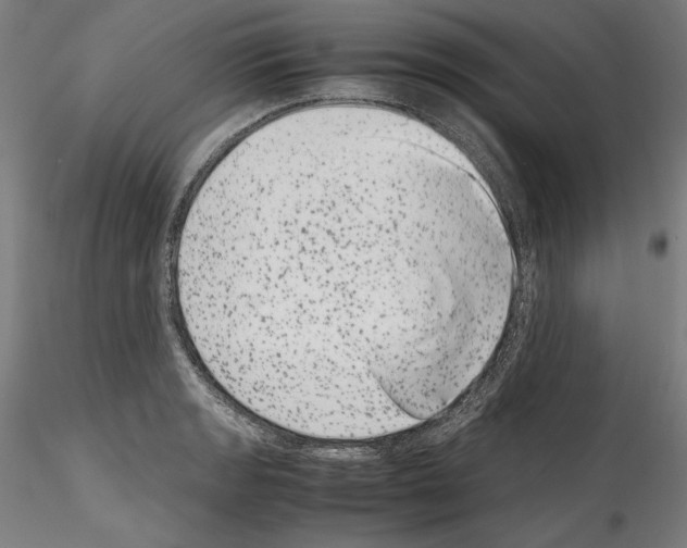 X0000114411133200911271520