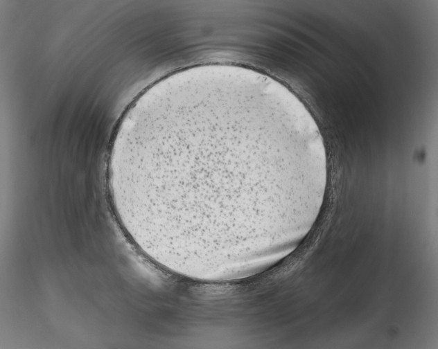 X0000114411134200911271520