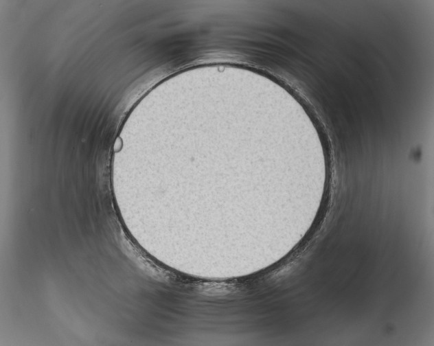 X0000114411137200911271520