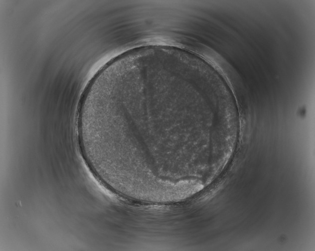 X0000114411141200911271520