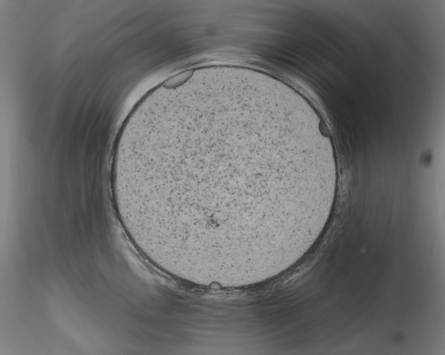 X0000114411146200911271520