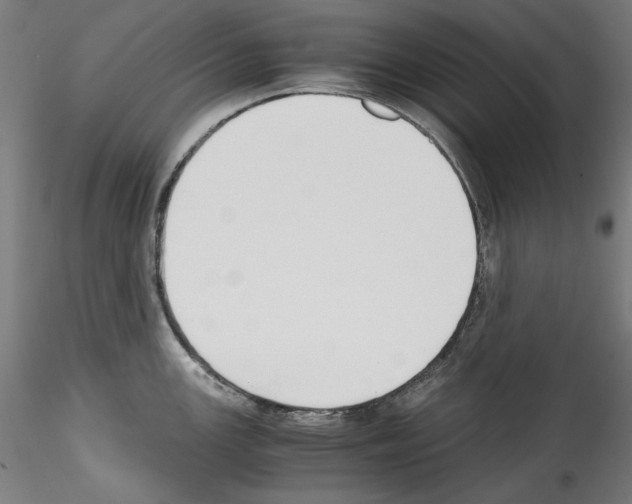 X0000114411147200911271520