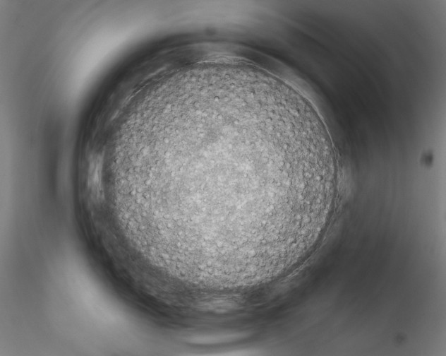 X0000114411150200911271520