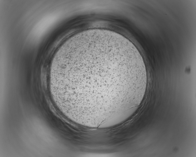 X0000114411151200911271520