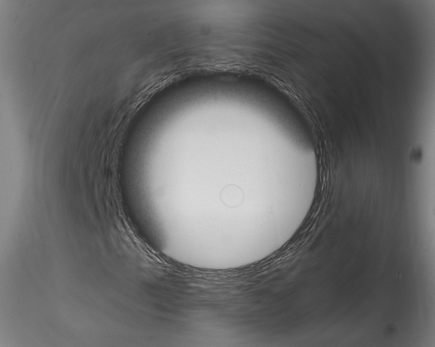 X0000114411153200911271519