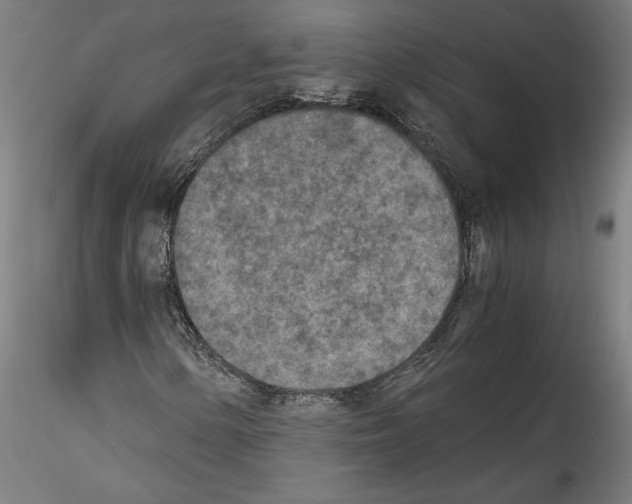 X0000114411154200911271519