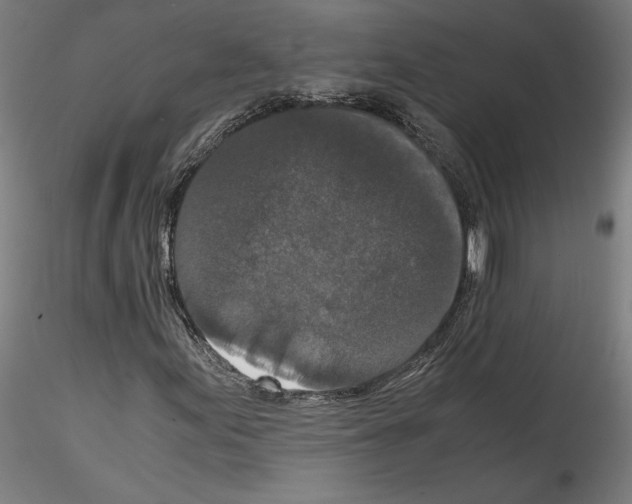 X0000114411155200911271519