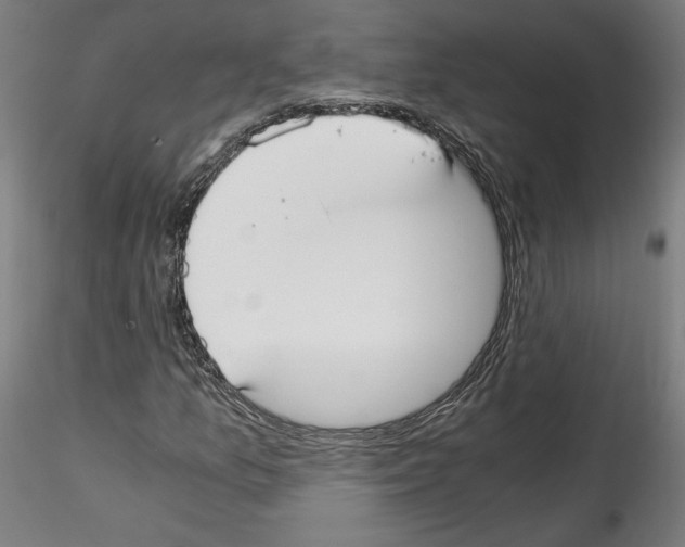 X0000114411157200911271519