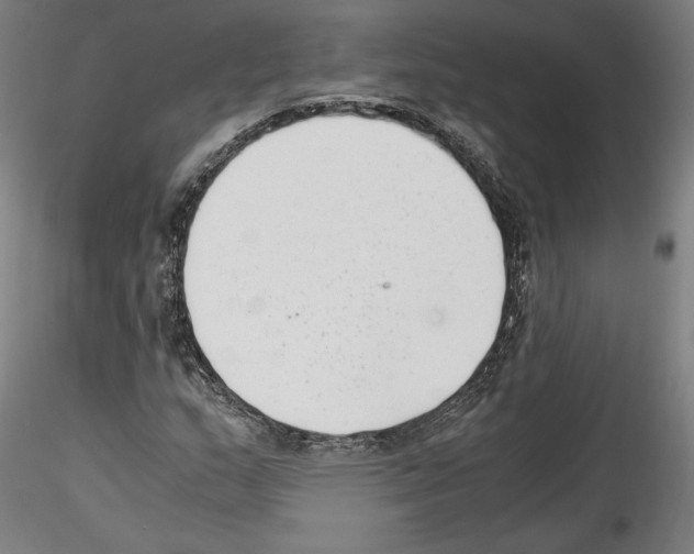 X0000114411159200911271519