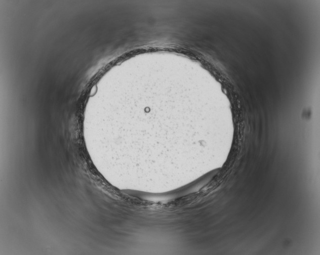 X0000114411160200911271519