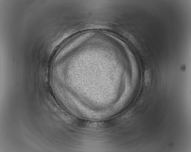 X0000114411165200911271519